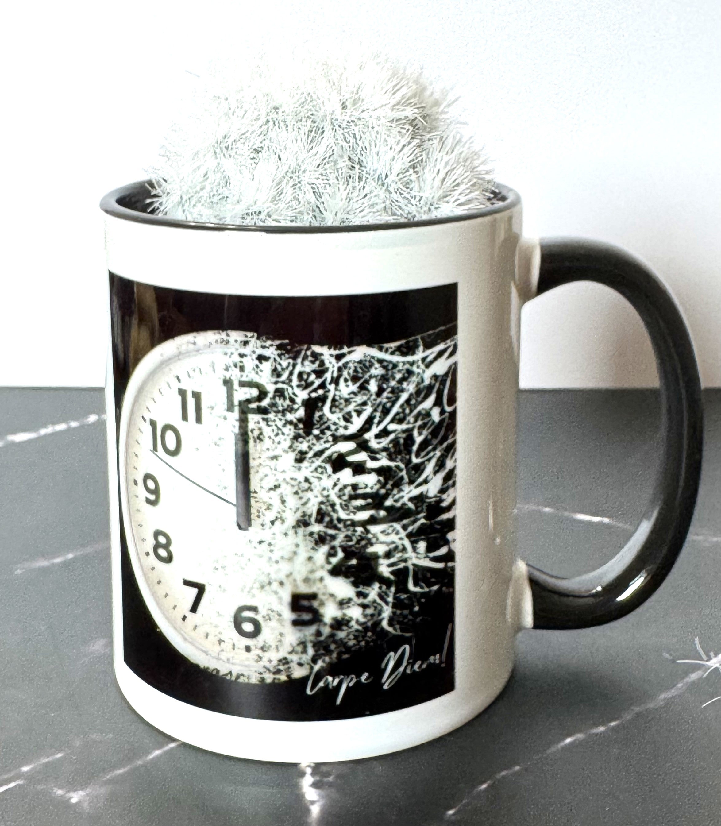 Carpe Diem (Seize the Day) 11oz Mug