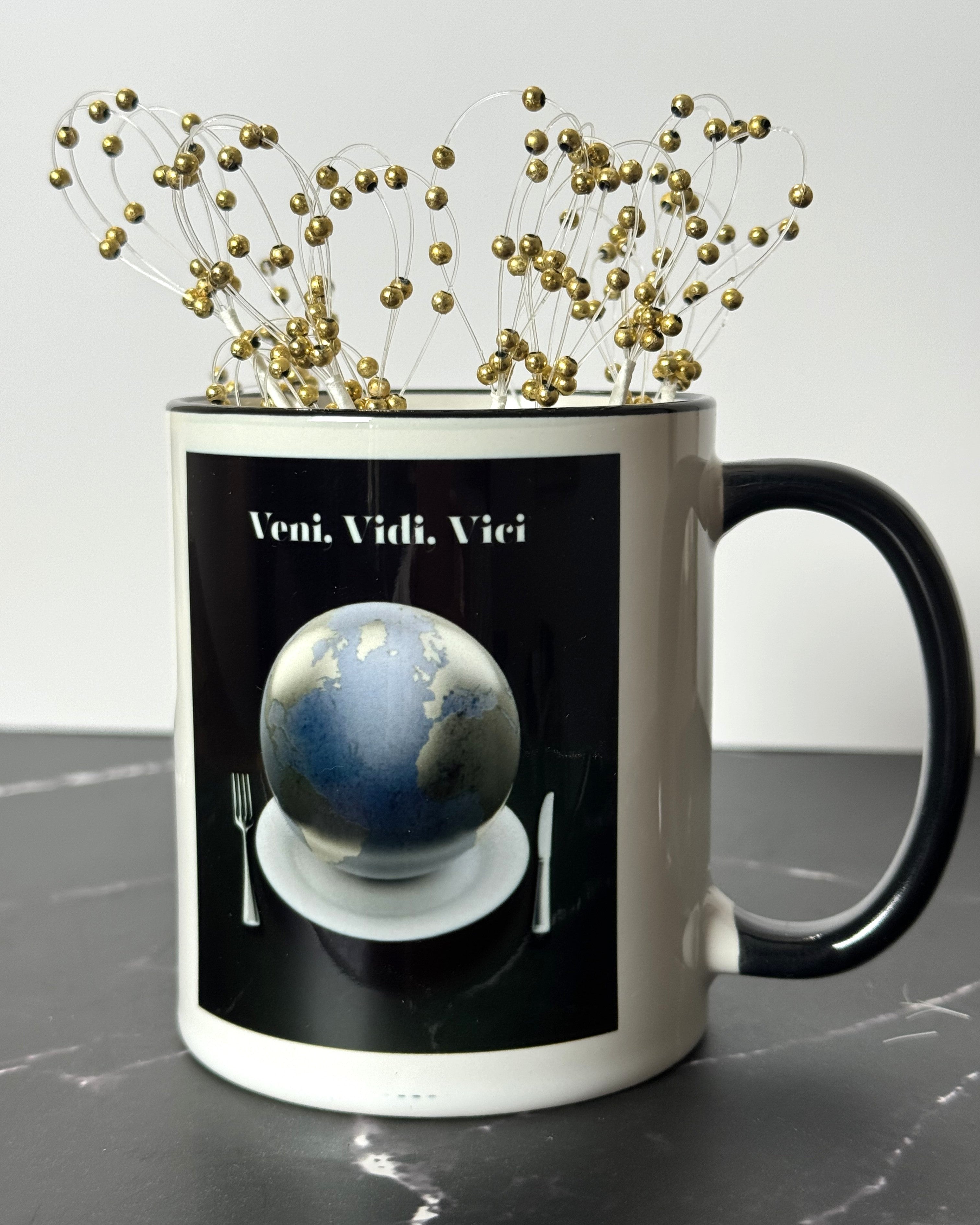 Veni, Vidi, Vici (I Came, I Saw, I Conquered)  11 oz. mug