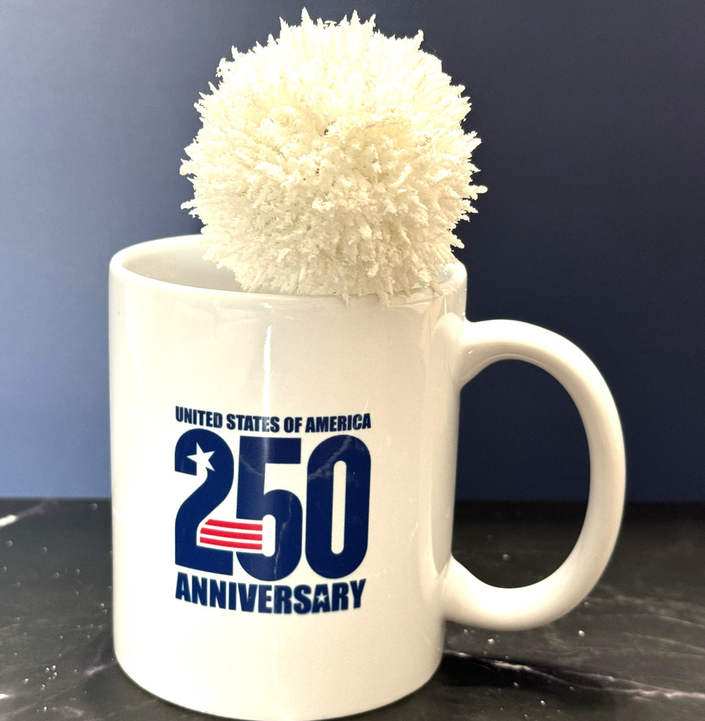 Let Freedom Soar 250th Anniversary Mug