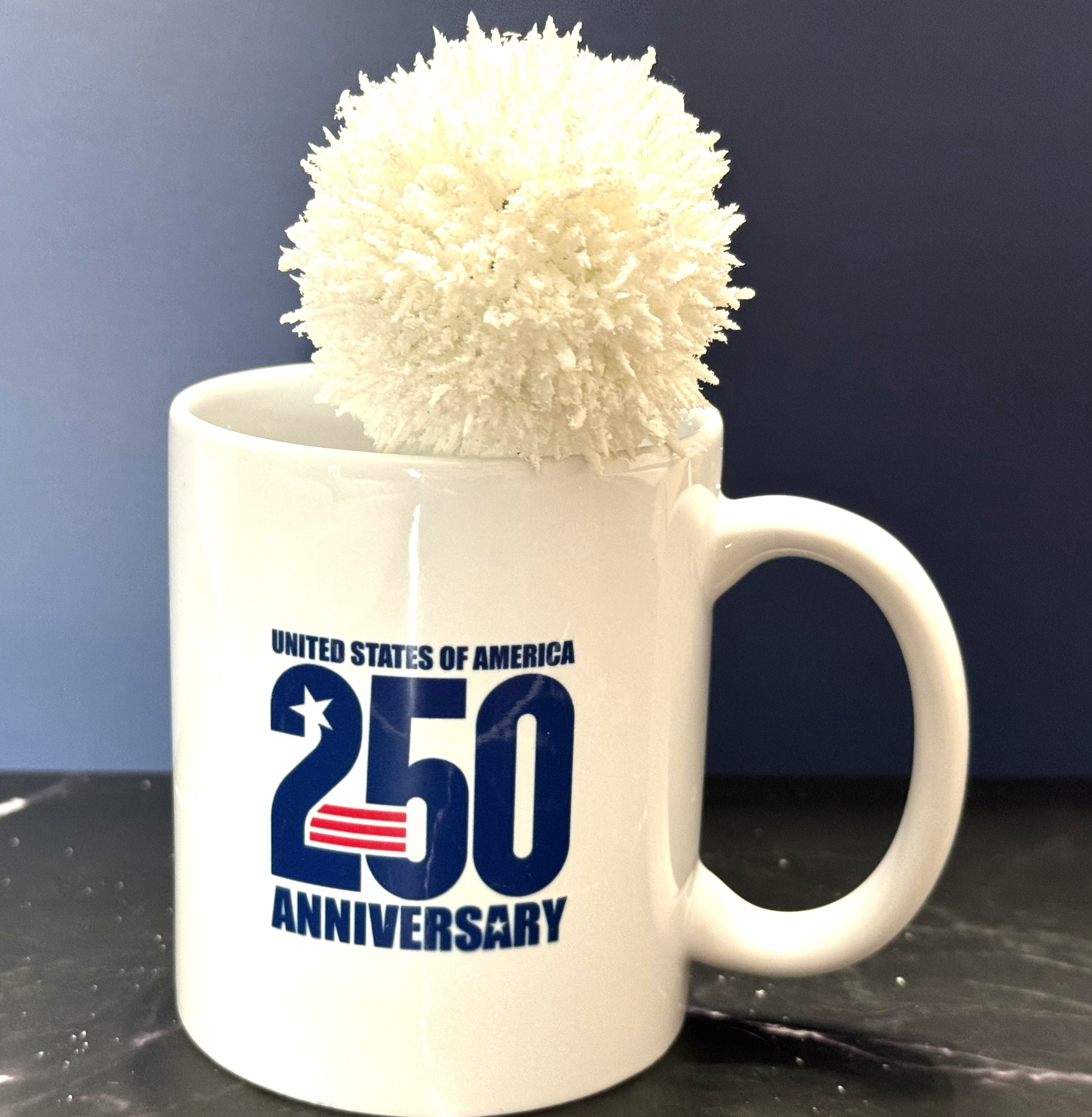 Let Freedom Soar 250th Anniversary Mug